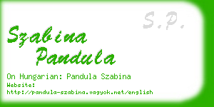 szabina pandula business card